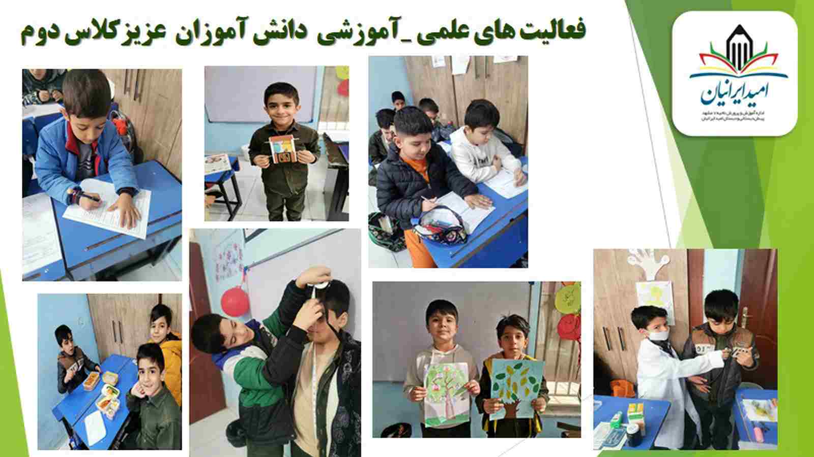 7 (Copy)